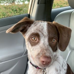 Meet your Posher, Savannah